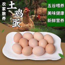 农夫乡情农村散养土鸡蛋30枚天然新鲜自家养柴草鸡蛋月子初产蛋