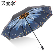 伞防晒防紫外线黑胶遮阳伞折叠便携太阳伞晴雨两用伞女清新