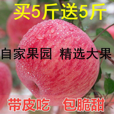 妙采园 红富士苹果水果新鲜批发冰糖心当季整箱10斤