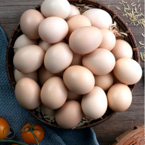 【 农家土鸡蛋】 正宗散养土鸡蛋农村农家正宗笨鸡蛋10/40枚新鲜初生鸡蛋批发整箱多规格