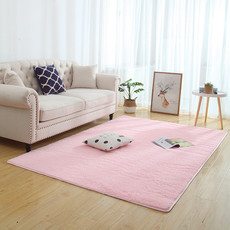 短毛丝毛地毯卧室网红同款床边满铺客厅茶几沙发地垫房间地毯 80x120cm粉色