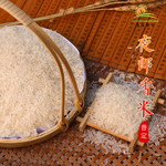 贵州安顺普定夜郎香米夜郎贡米5斤装精品大米