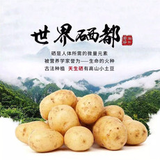 农家自产 【 强国助农】恩施地标产品高山土豆5斤包邮