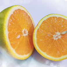 七公主果园 七公主果园 三峡秭归新鲜夏橙榨汁橙5斤大果实惠装 送简易榨汁器