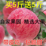 妙采园 红富士苹果水果新鲜批发冰糖心当季整箱10斤