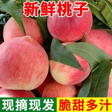【10斤】现摘水蜜桃子新鲜脆甜毛桃孕妇水果好吃水果整箱包邮【徐闻美食】